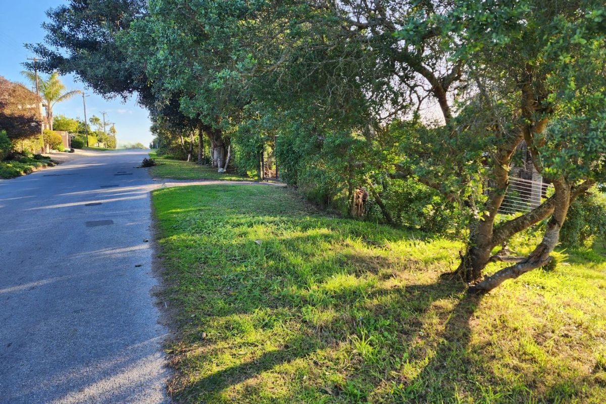 Vacant stand close to the beach in Kingfisher Creek - Photo 5