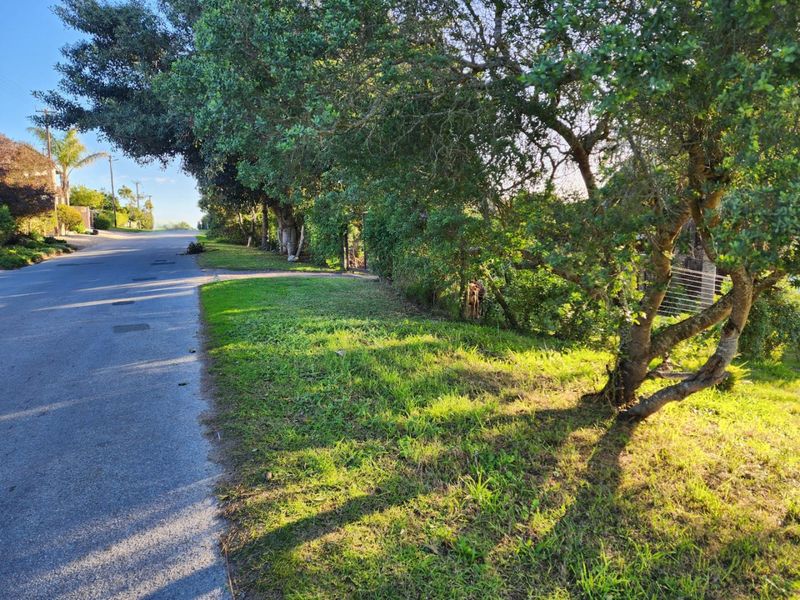 Vacant stand close to the beach in Kingfisher Creek - Photo 5