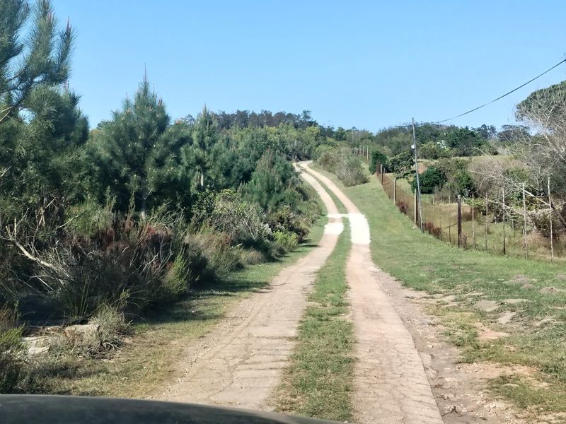 Mountain views small holding.  - Photo 2