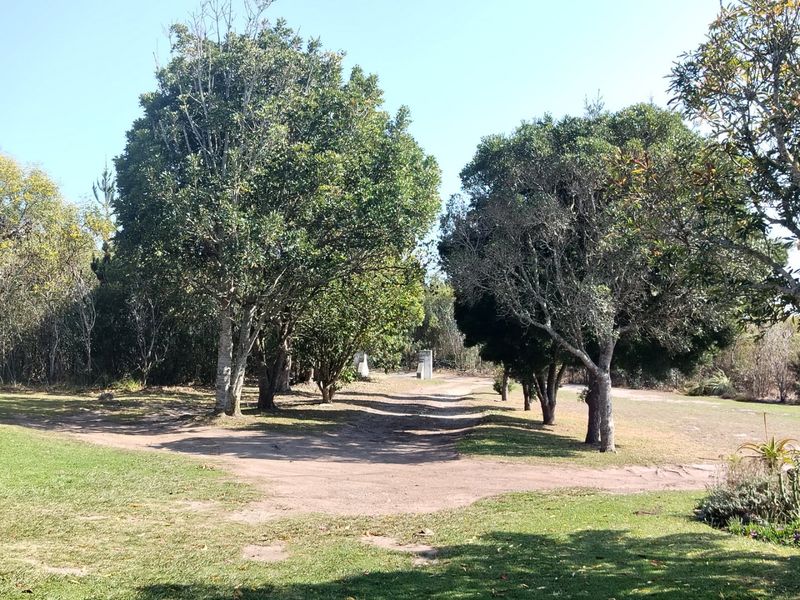 Mountain views small holding.  - Photo 4