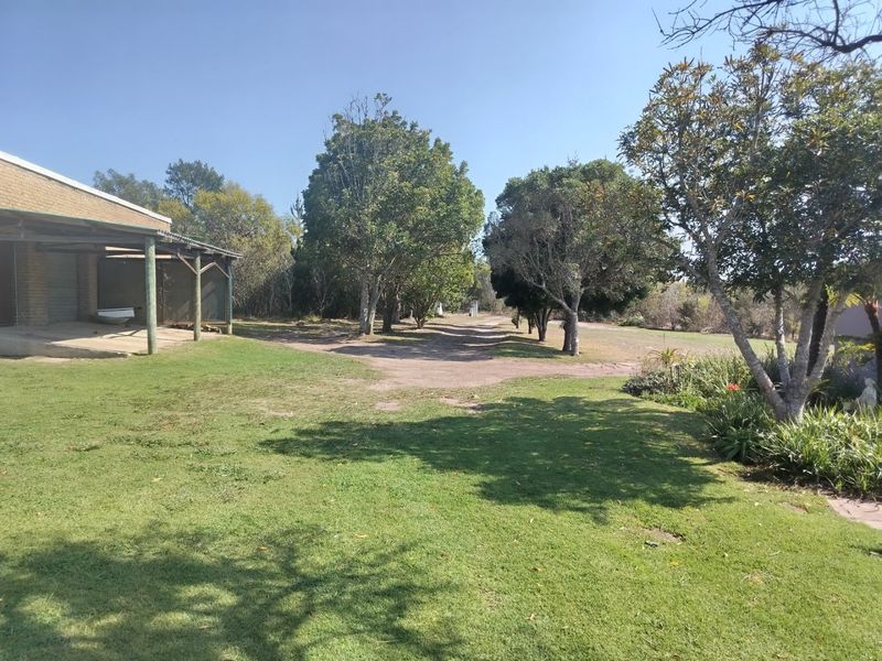 Mountain views small holding.  - Photo 6