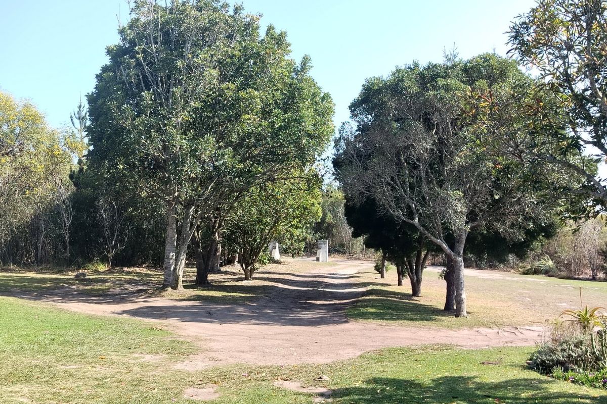 A spacious, tree-lined garden area featuring a natural dirt driveway and established mature trees on the farm property.