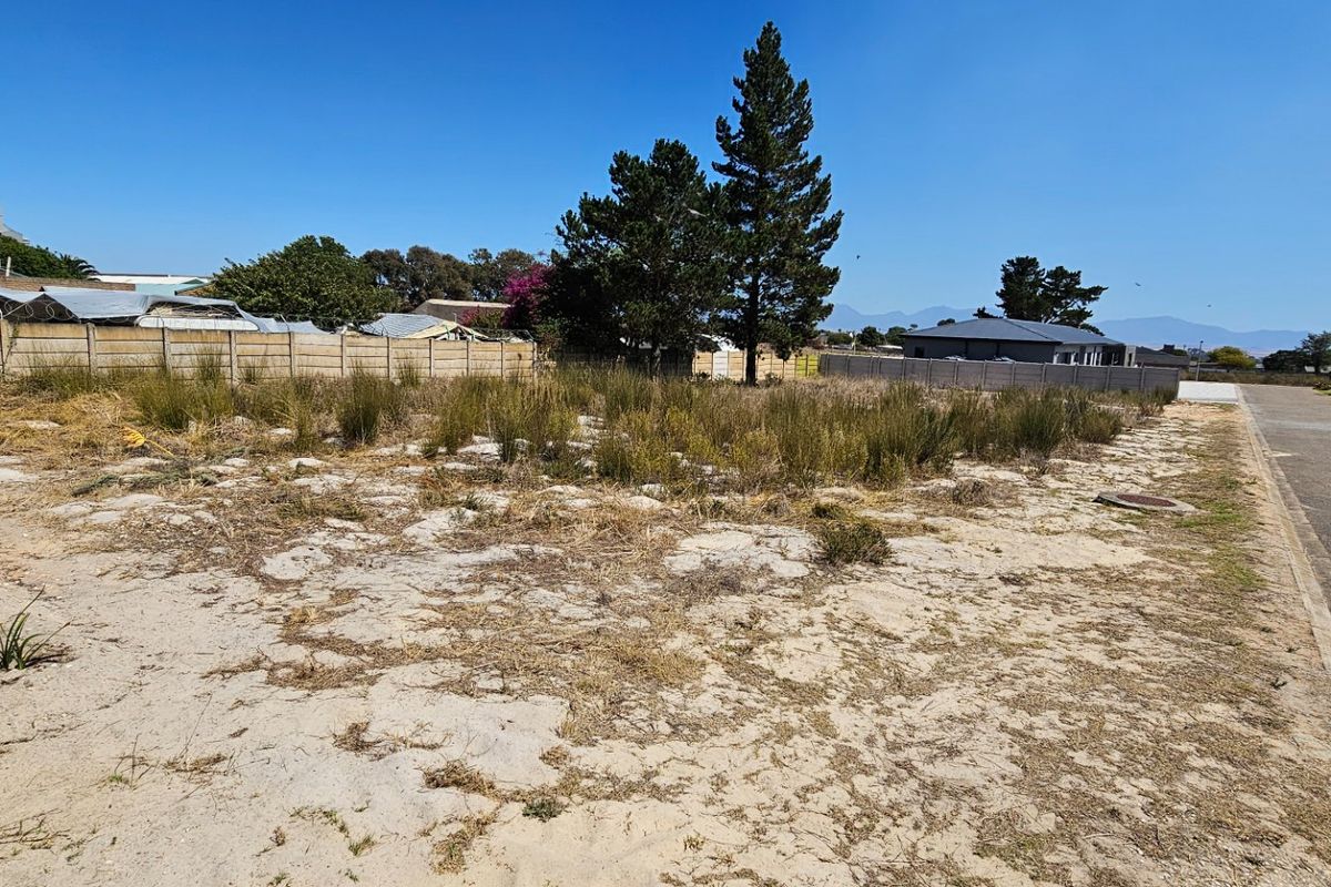 Quiet little town on the Garden route - Photo 3