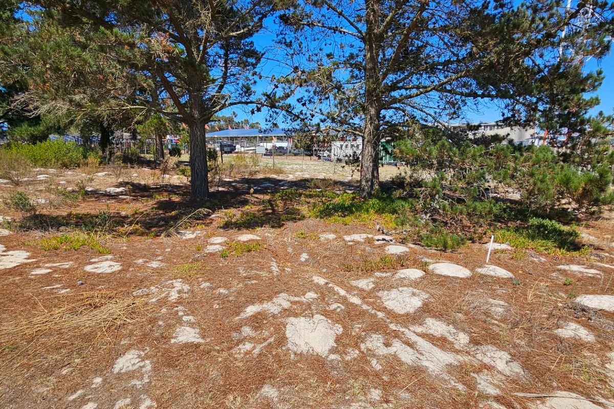 Quiet little town on the Garden route - Photo 2