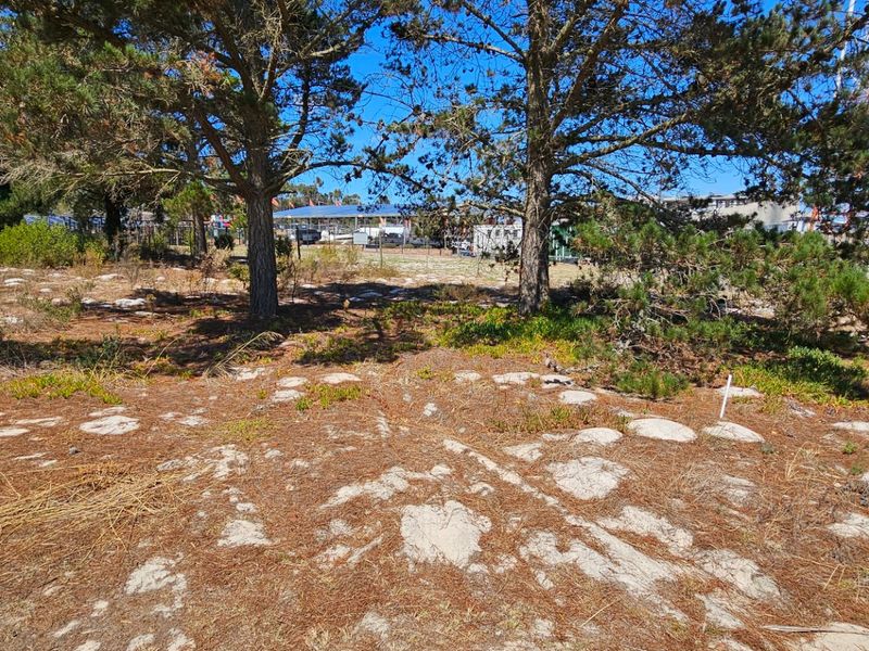 Quiet little town on the Garden route - Photo 2