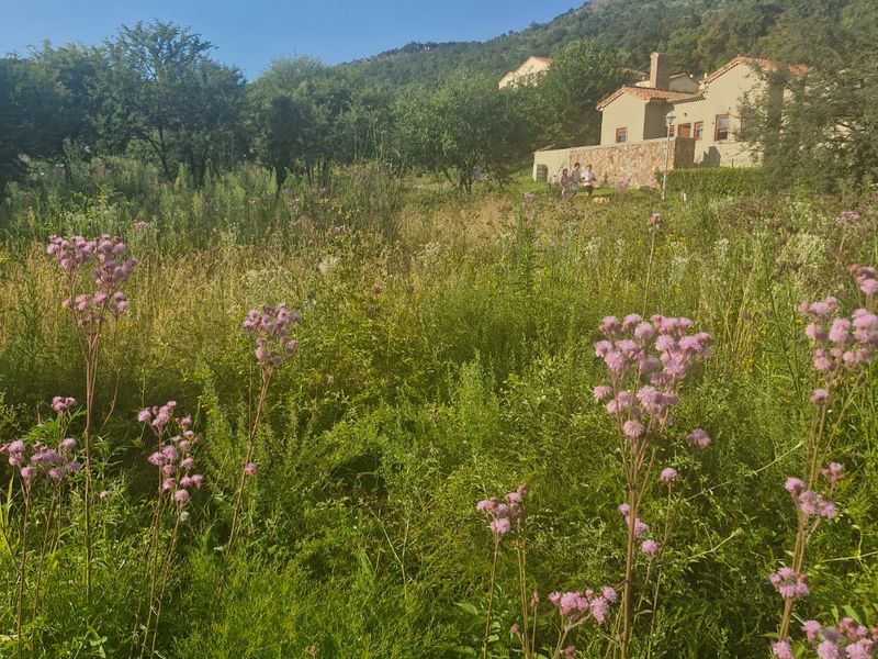 Vacant Land for Sale in a Peaceful, Secure Estate - Photo 3