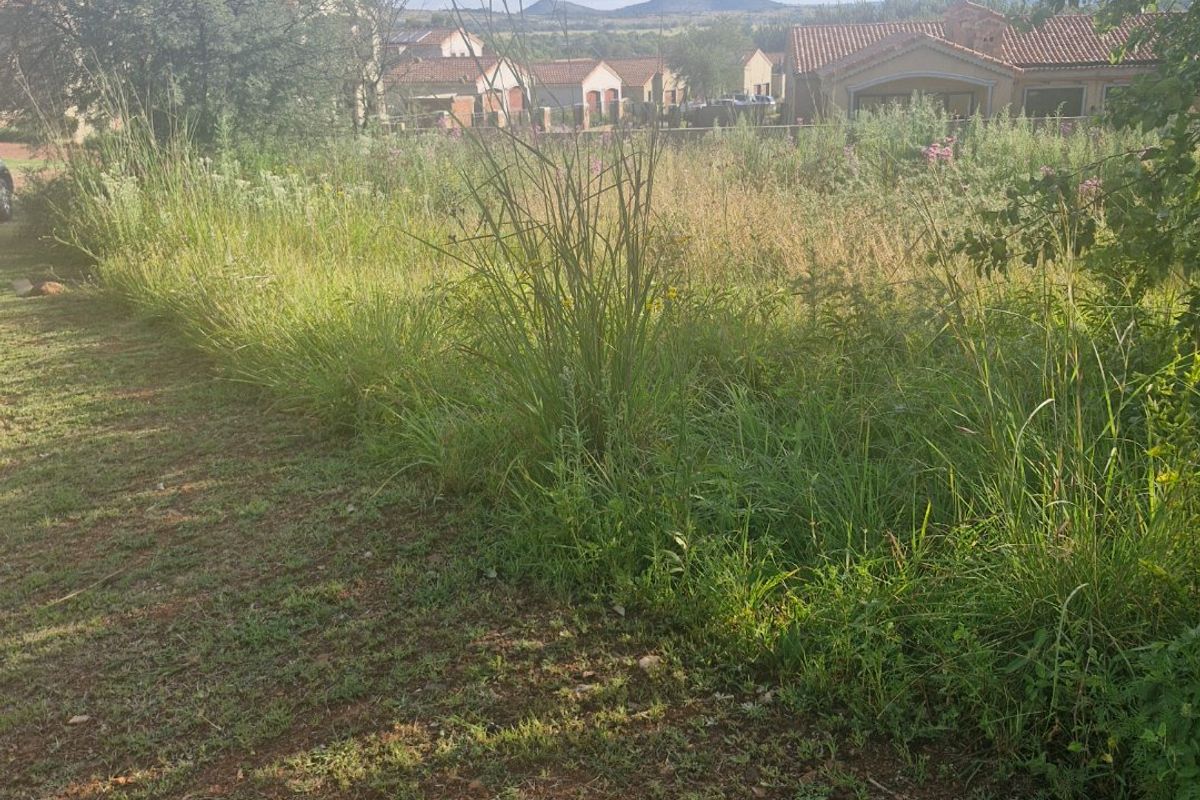 A view of a vacant residential plot featuring overgrown grass and natural vegetation, situated within a developed residential estate.