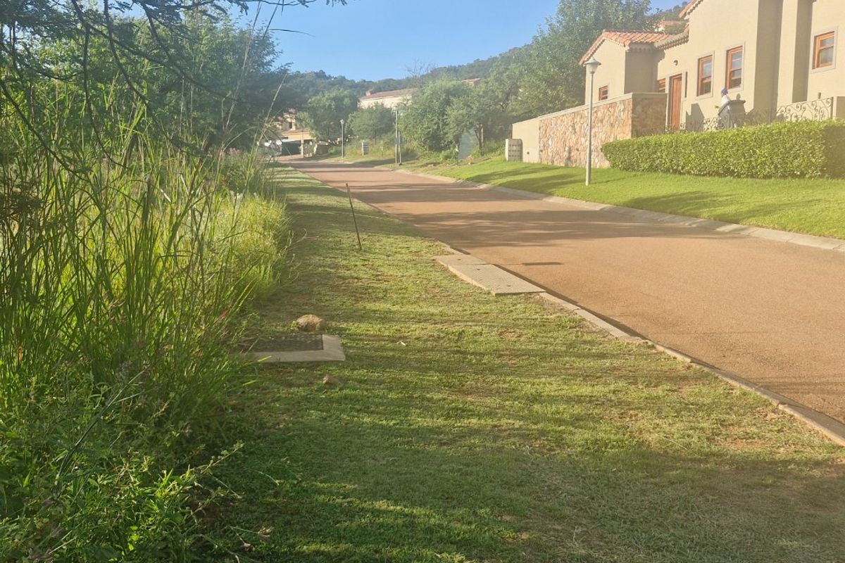 A view of the residential street showing the paved road, landscaped verge, and stone boundary wall of the adjacent property.