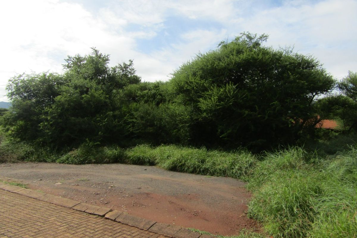 A view of a vacant residential plot featuring a paved driveway entrance, mature trees, and natural vegetation.