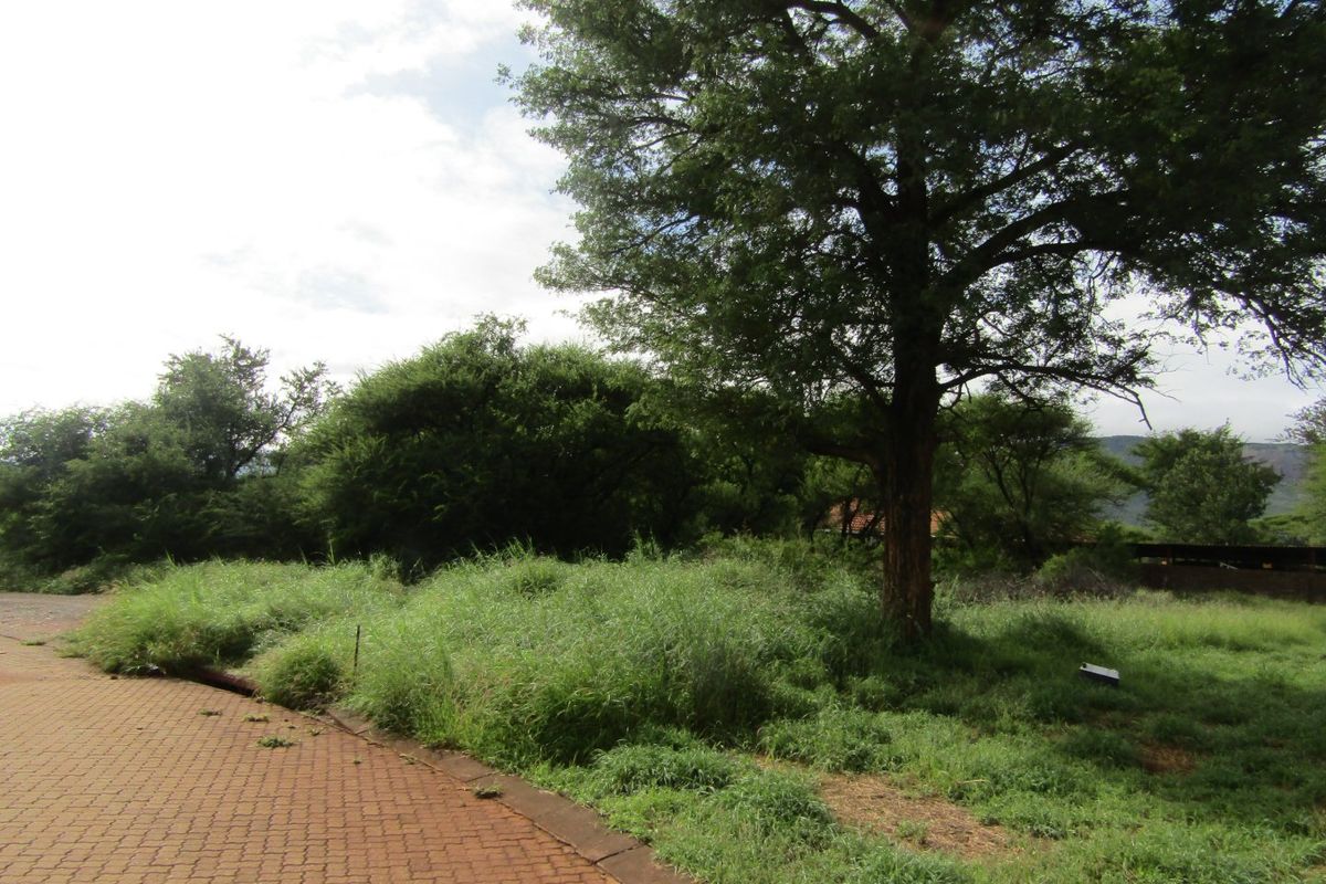 A view of a vacant residential plot featuring a paved driveway, established trees, and natural grass cover.