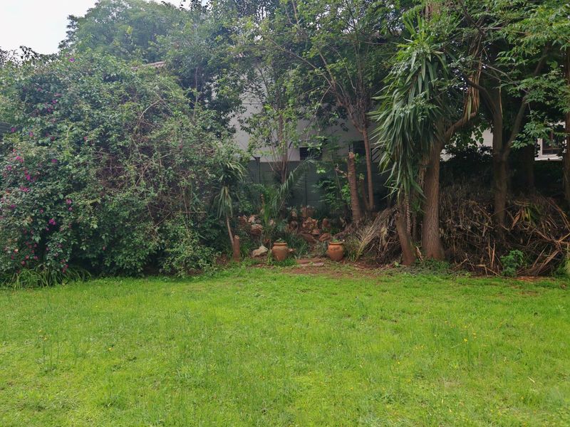 A private backyard garden featuring a grass lawn, mature trees, and established perimeter fencing.