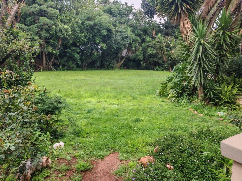 A spacious, established garden featuring a large lawn area surrounded by mature trees and dense perimeter shrubbery.