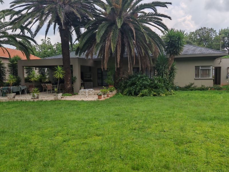 Rear view of the house featuring a covered patio area, built-in braai, and a spacious garden with mature palm trees.