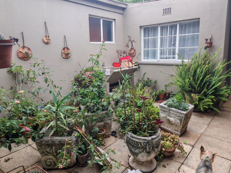 A paved rear courtyard area featuring a built-in concrete utility sink and access to the home via sliding windows.