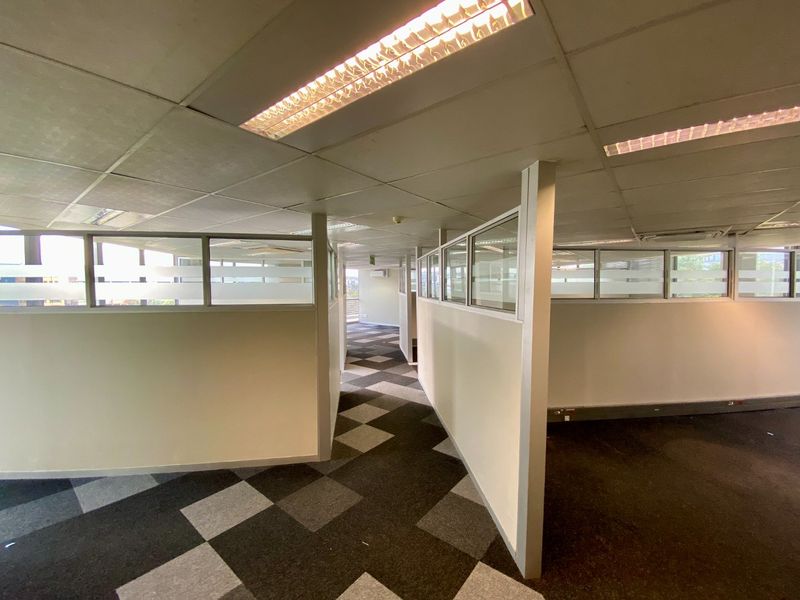 An empty commercial office space featuring modular partition walls, suspended ceilings with integrated lighting, and patterned carpet tiles throughout the open floor plan.