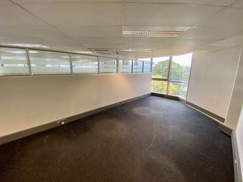Empty commercial office space featuring a suspended ceiling, recessed lighting, glass partitions, and large windows providing natural light.