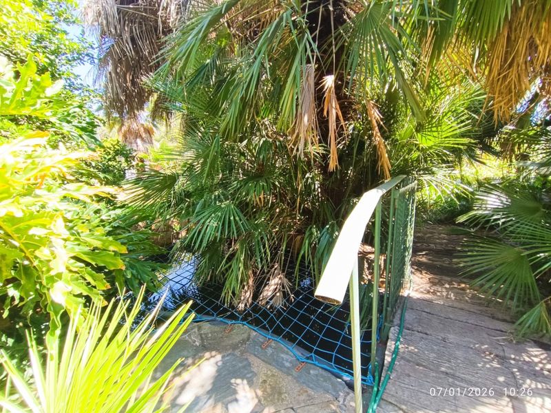 5 Bedroom Home for Sale in Wilkeville - Photo 10