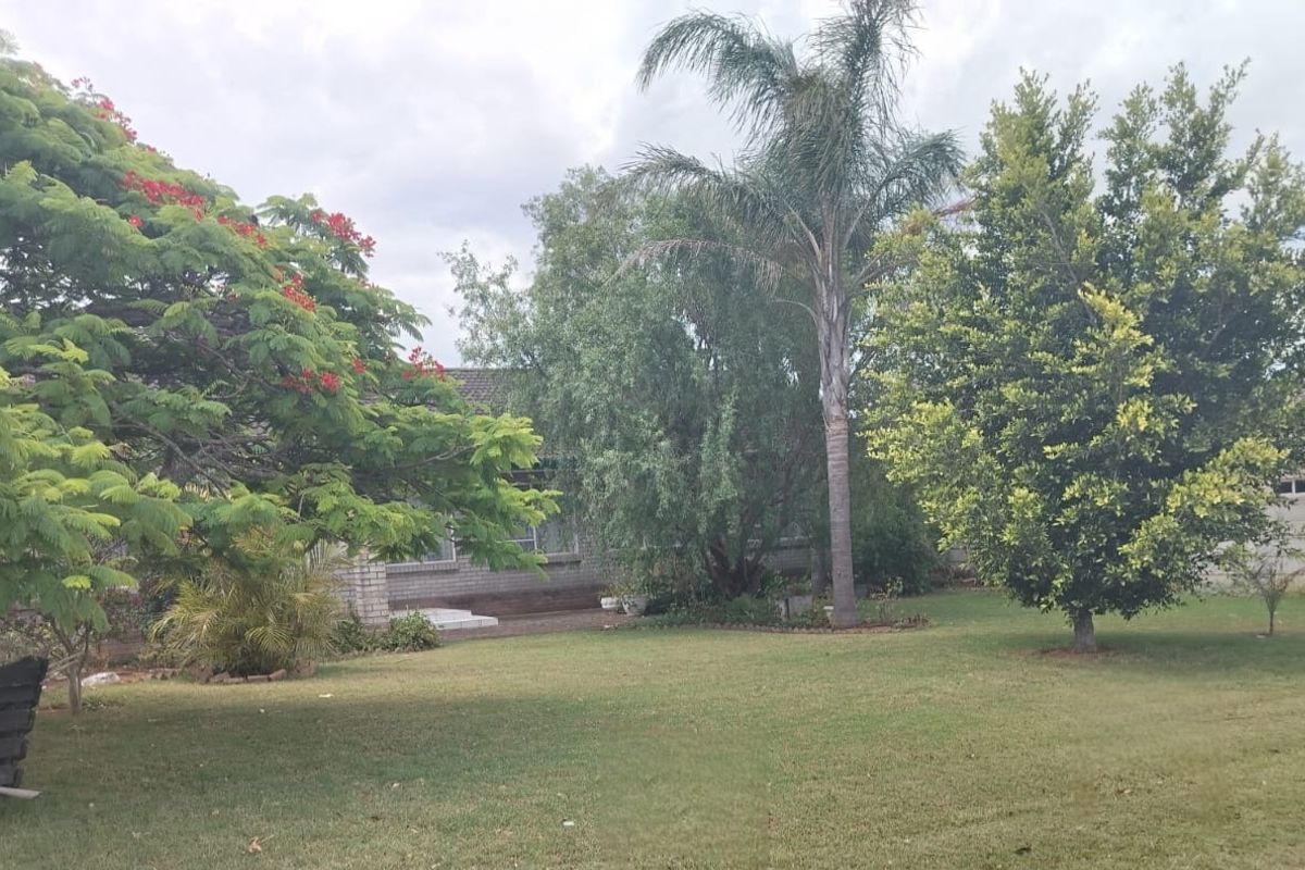 7 Bedroom Family Home is a gem!  - Photo 3