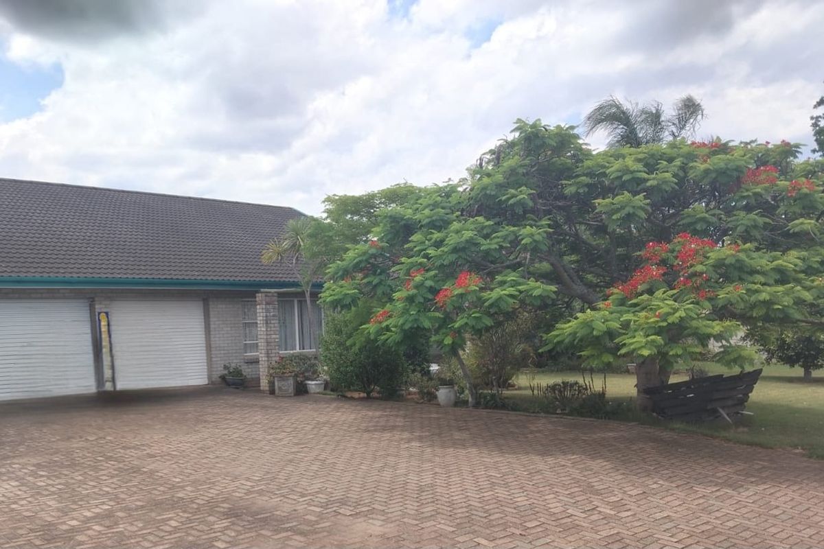 7 Bedroom Family Home is a gem!  - Photo 2