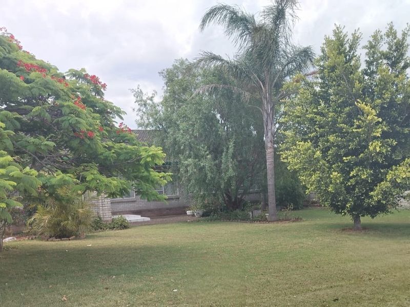A spacious residential garden featuring a well-maintained lawn, mature trees, and a perimeter boundary wall.