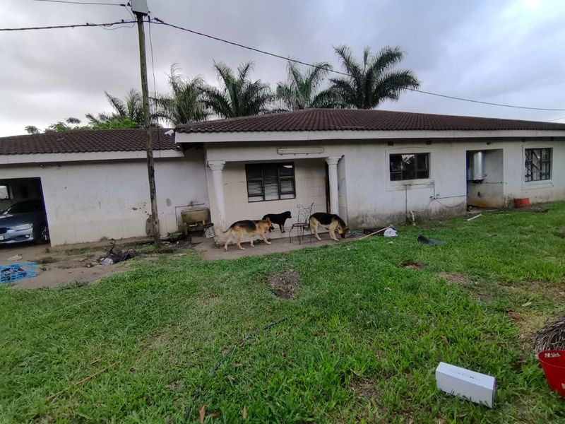 4 Bed House in Mzingazi for Sale - Photo 9