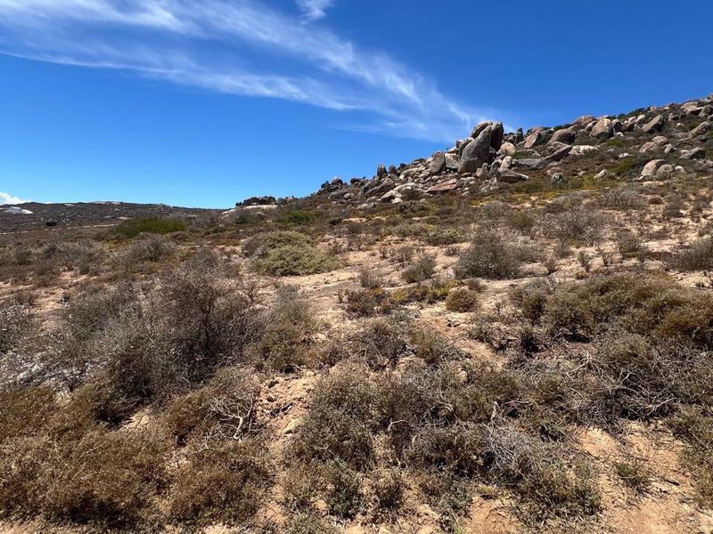 Evergreen Bayfront Plot in St Helena Views - Photo 6