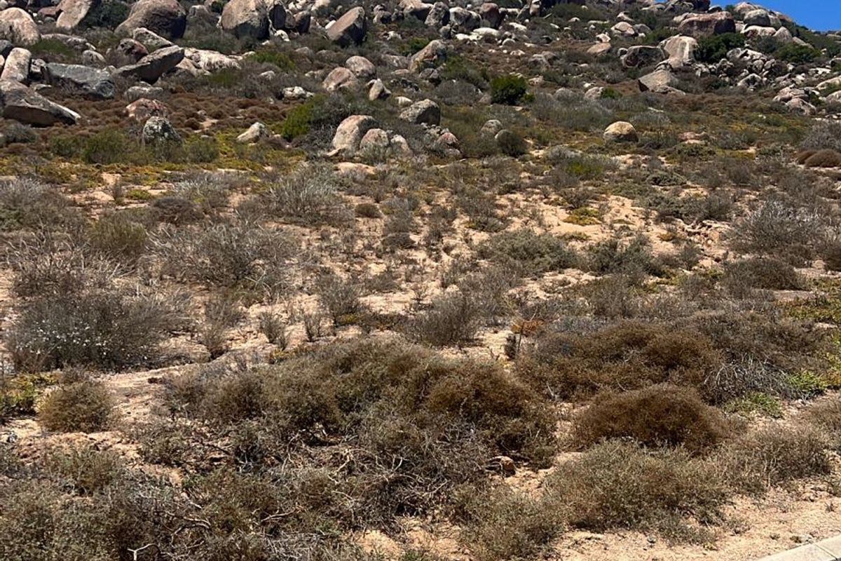 Evergreen Bayfront Plot in St Helena Views - Photo 2