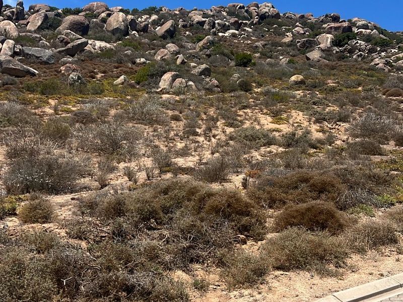 Evergreen Bayfront Plot in St Helena Views - Photo 2