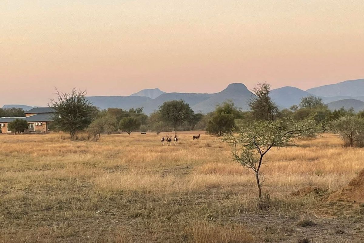 Residential  Vacant Land for Sale in a Peaceful Location - Photo 4