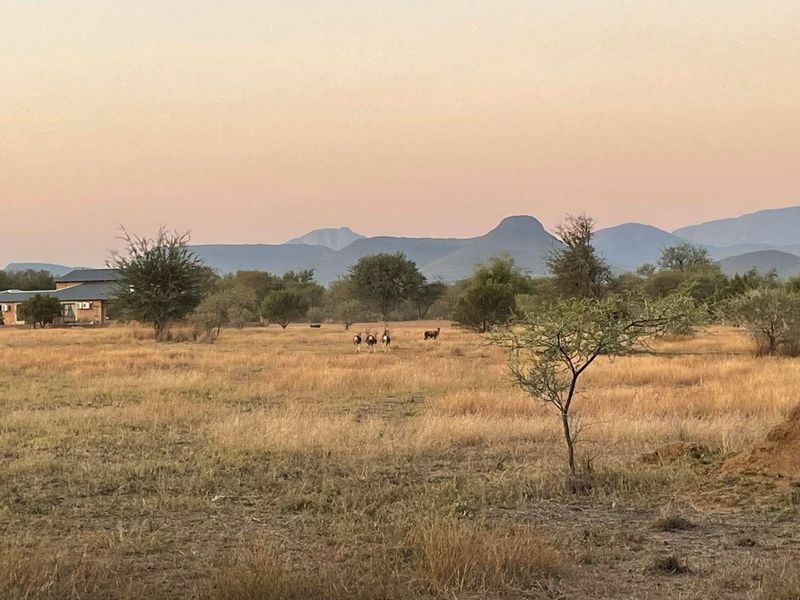 Residential  Vacant Land for Sale in a Peaceful Location - Photo 4