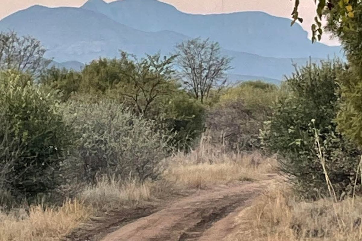 Residential  Vacant Land for Sale in a Peaceful Location - Photo 3