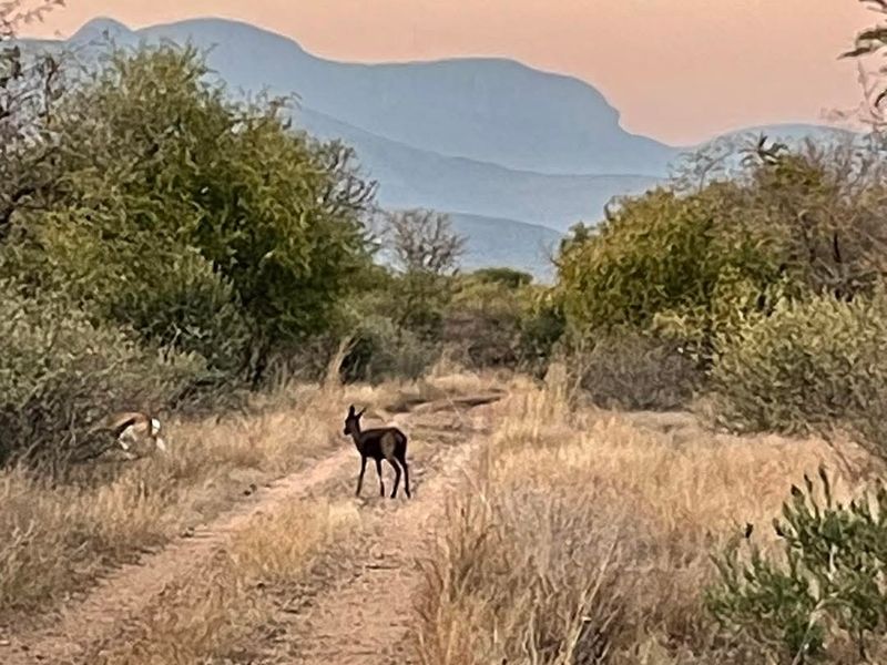 Residential  Vacant Land for Sale in a Peaceful Location - Photo 6