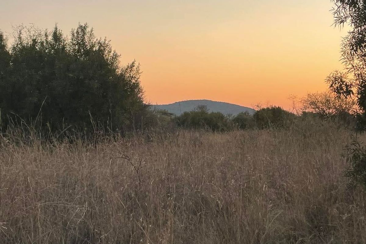 Residential  Vacant Land for Sale in a Peaceful Location - Photo 5