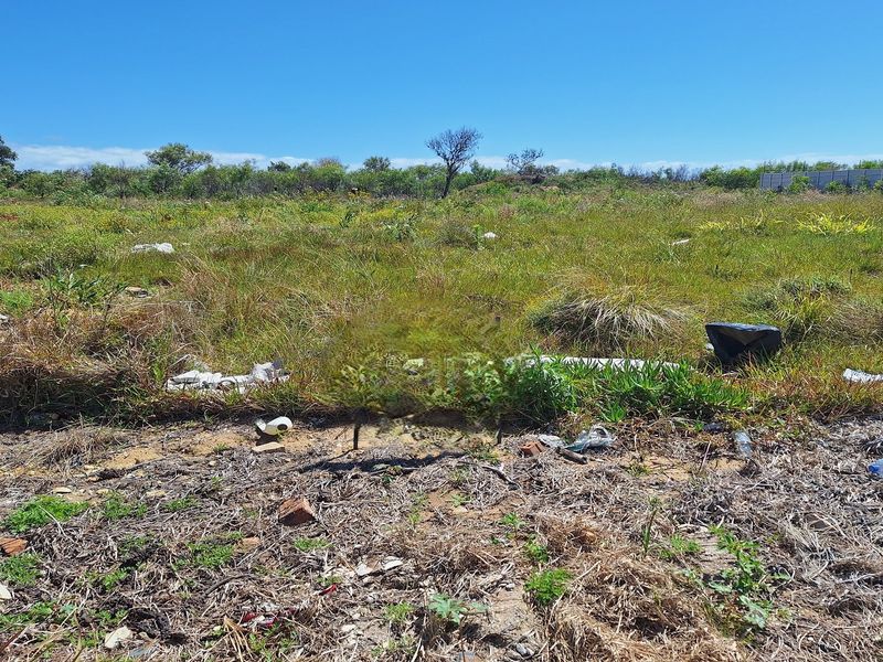 2 VACANT PLOTS SIDE BY SIDE TO BUILD YOUR DREAM HOME/S - Photo 1