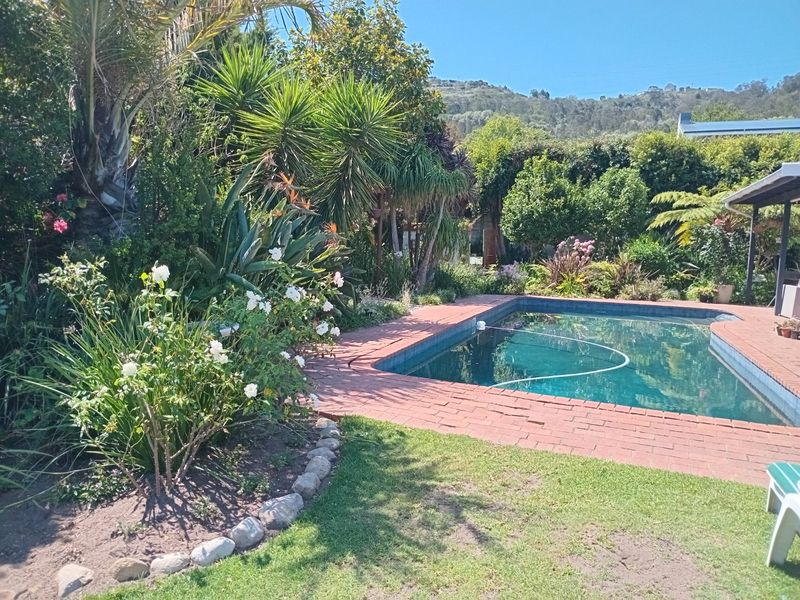 A well-maintained swimming pool area featuring brick paving, lush established garden landscaping, and a peaceful outdoor setting.