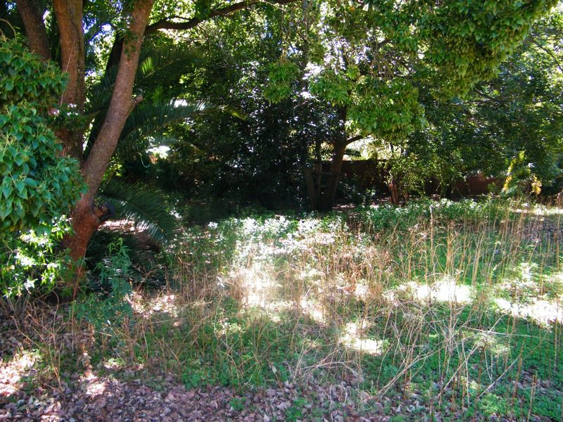 Vacant land in Wilkopies central - Photo 6