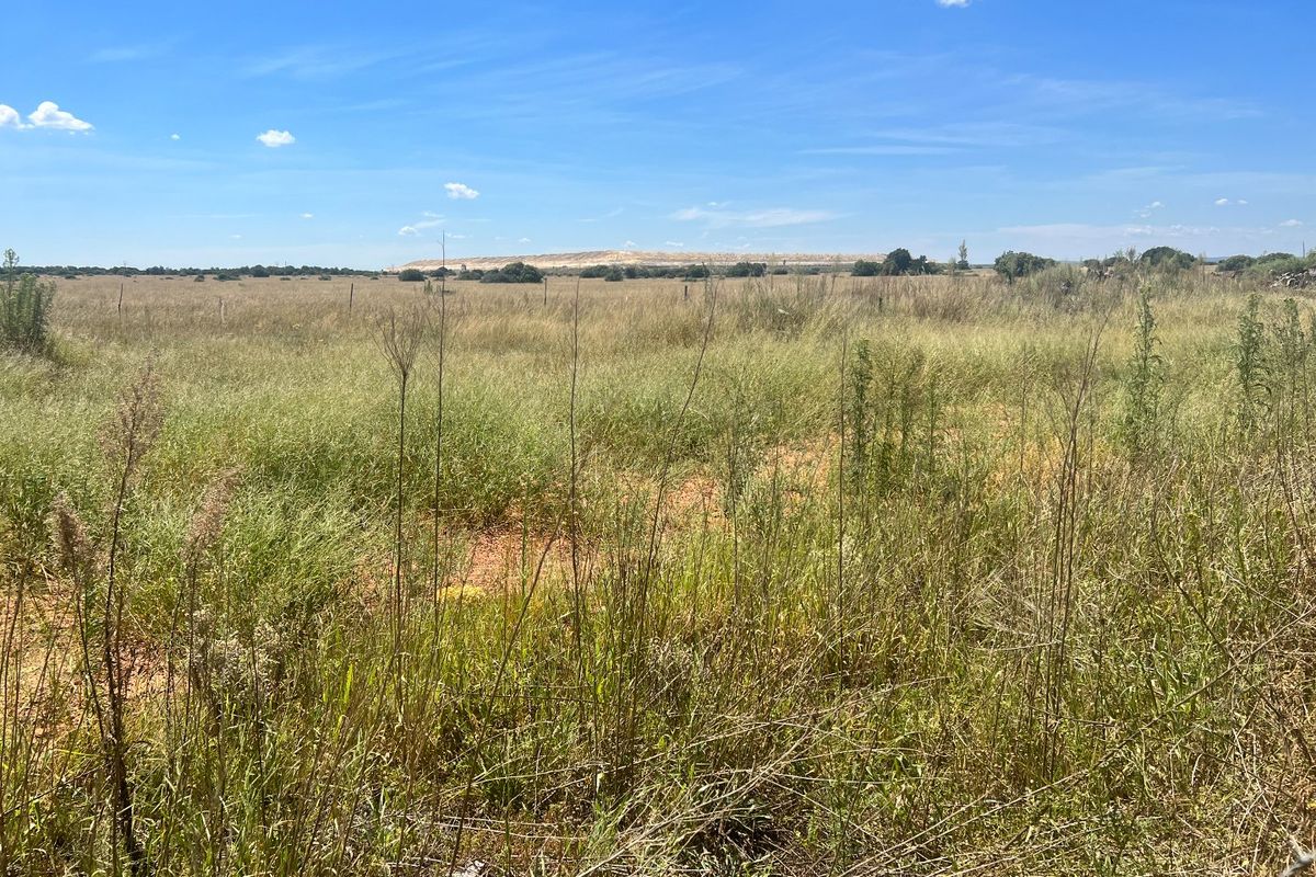 PRIME LAND - BUSINESS 1 - Photo 3