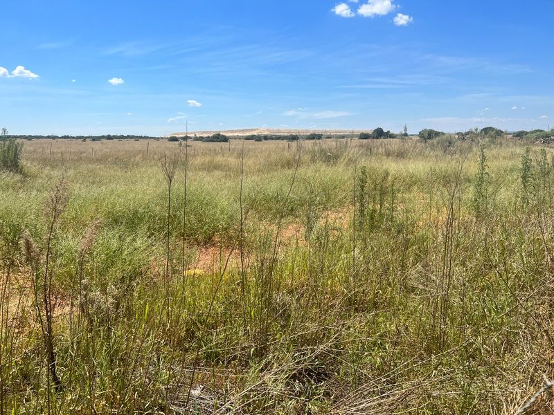 PRIME LAND - BUSINESS 1 - Photo 3