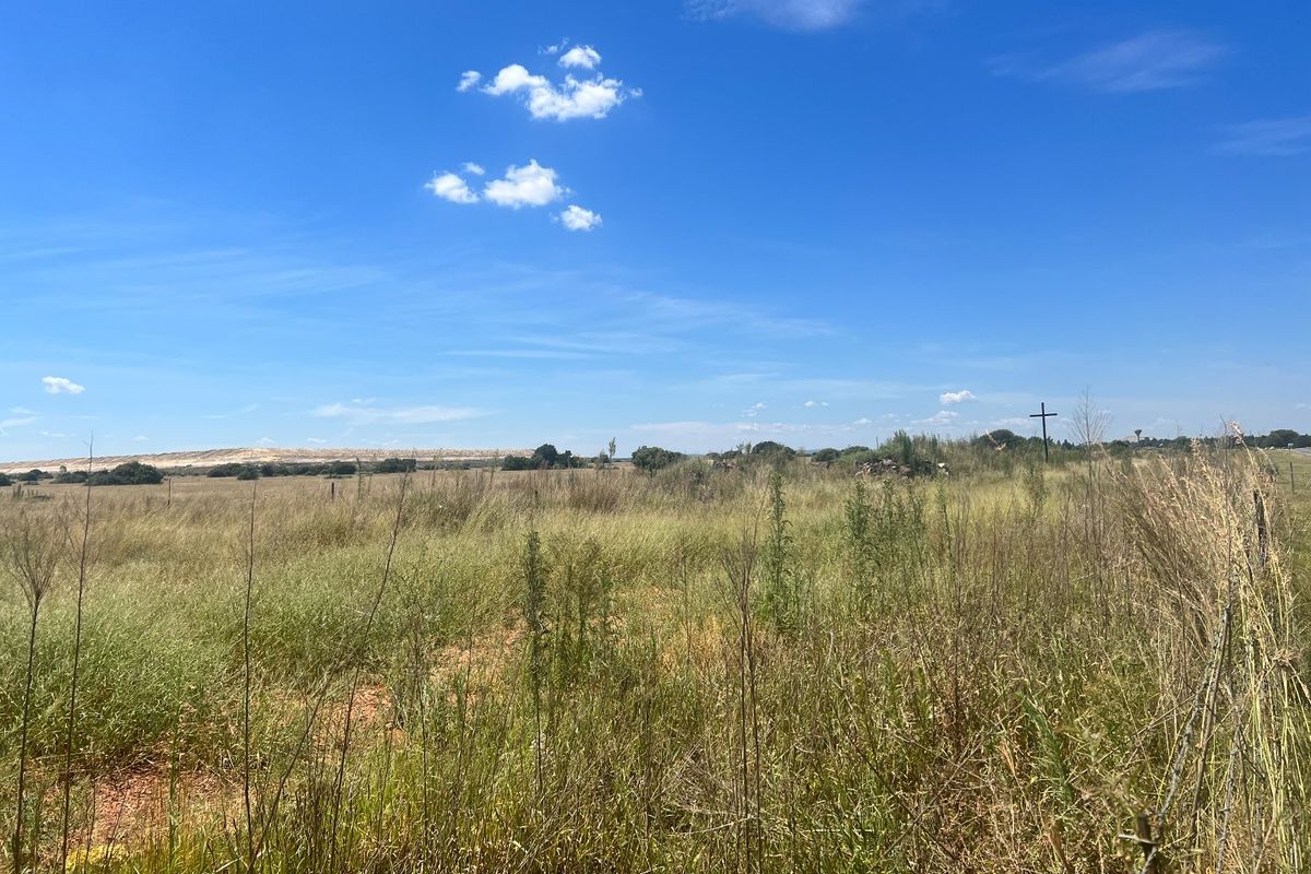 PRIME LAND - BUSINESS 1 - Photo 2