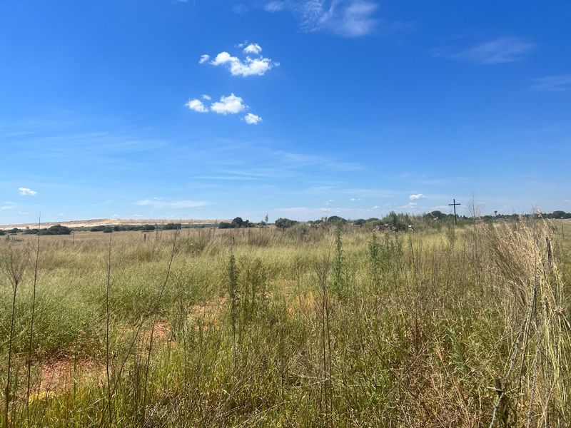 PRIME LAND - BUSINESS 1 - Photo 2