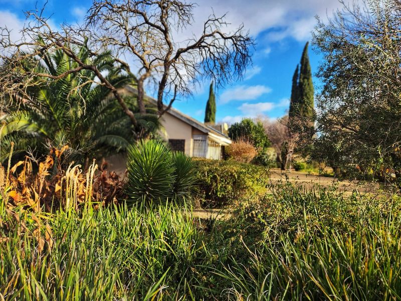 Charming 3 Bedroom, 2 Bathroom Home with Endless Potential in a Prime Suburb - Photo 4