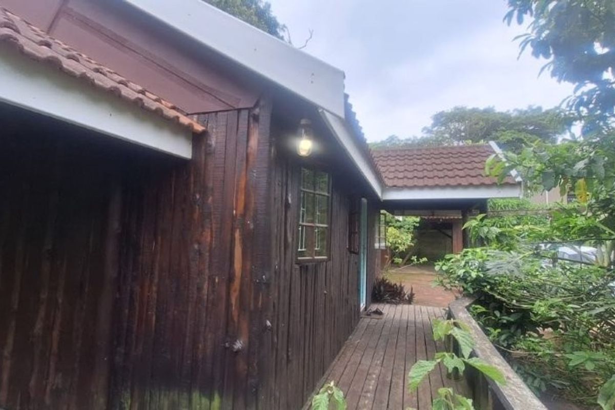 Rear exterior view of a timber-clad house featuring a wooden deck and tiled roof, surrounded by established garden foliage.