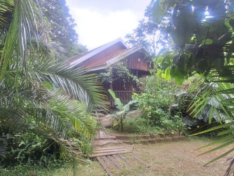 A rustic timber cabin nestled within a lush, overgrown garden setting, featuring a covered veranda and a stone pathway entrance.