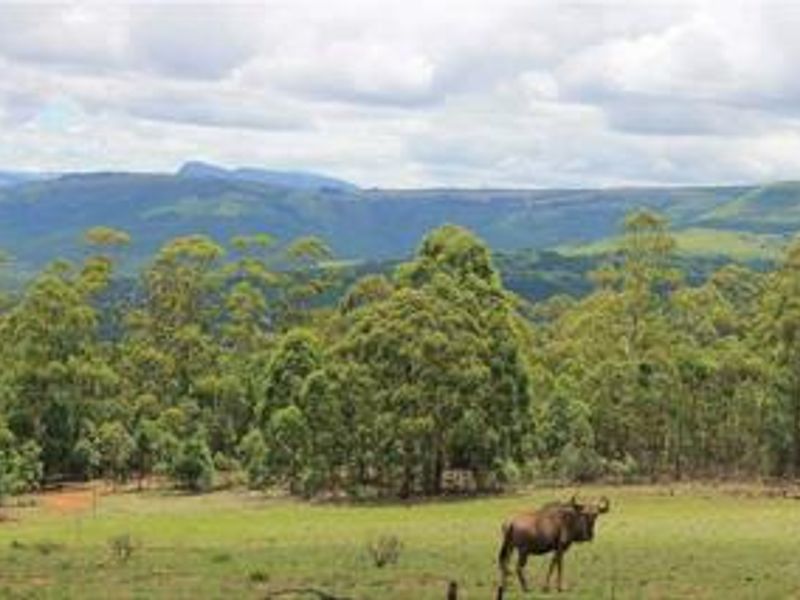 A scenic view of the farm landscape featuring rolling hills, dense forest, and distant mountain ranges.