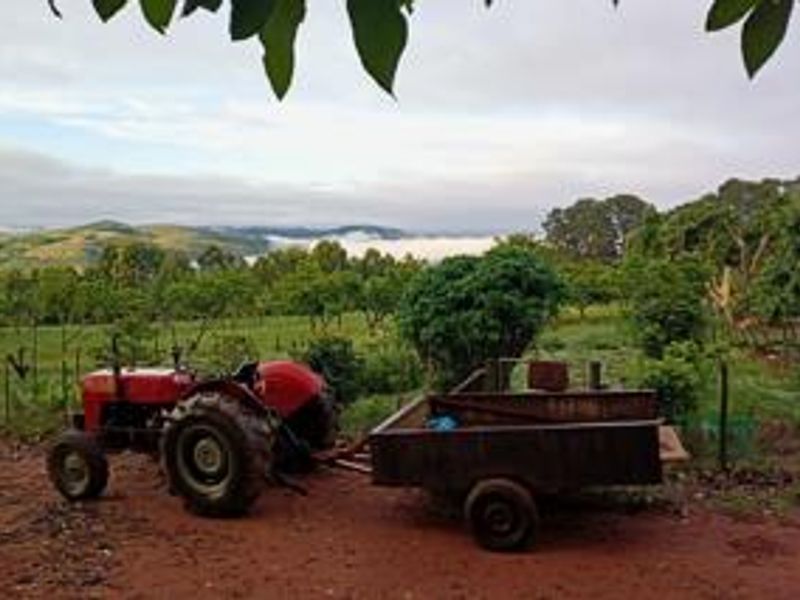 Scenic view overlooking the farm landscape with rolling hills and established orchard trees under a cloudy sky.