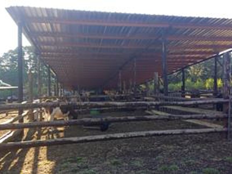 A functional farm livestock enclosure featuring a large covered area with a corrugated metal roof and sturdy timber log fencing.