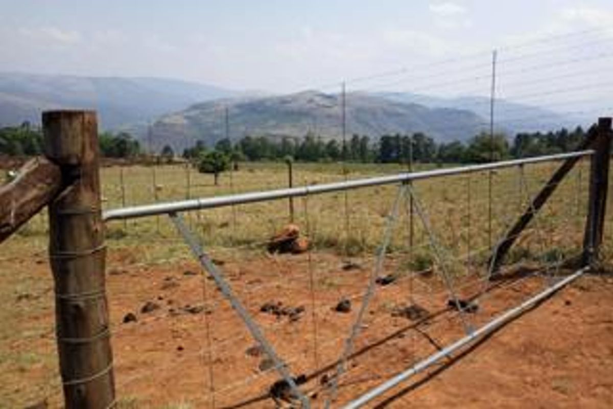 A metal farm gate with timber posts opening onto a rural landscape with mountain views.