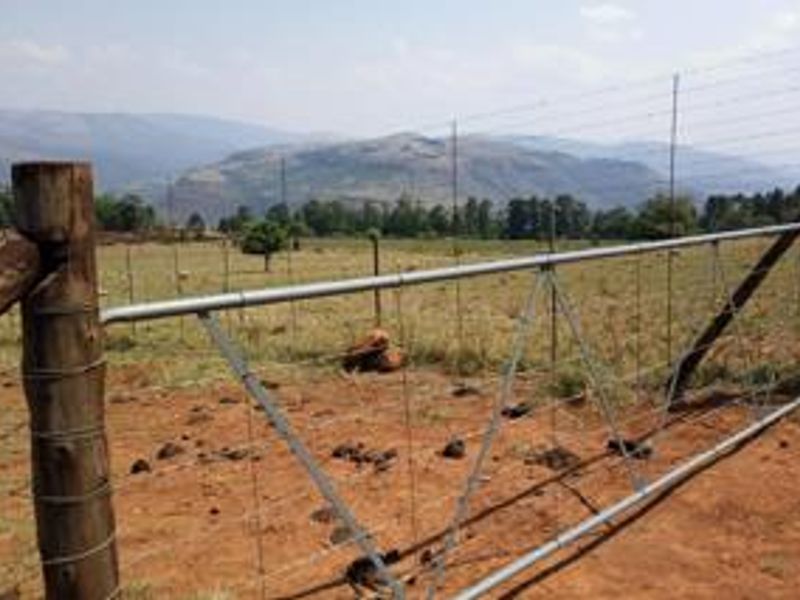 A metal farm gate with timber posts opening onto a rural landscape with mountain views.