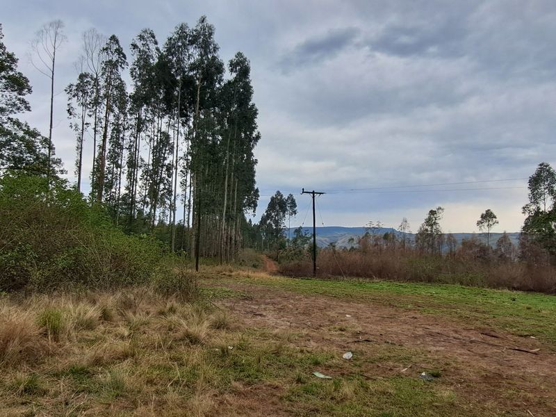 40ha Agricultural Land Opportunity – Highflats, Ixopo (KZN) - Photo 3