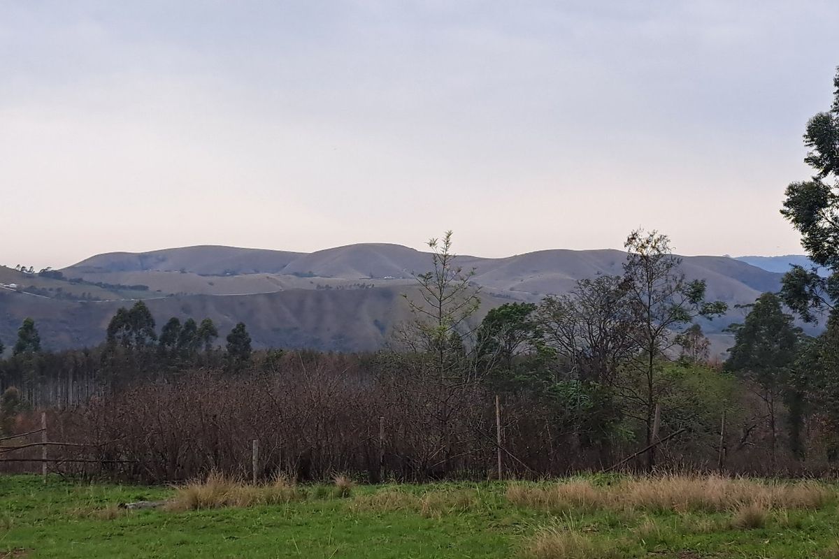 A scenic landscape view overlooking rolling hills and natural vegetation on the farm property.